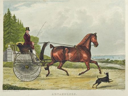 1839 Engraving Horse & Curricle Sale