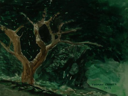 Mysterious Forest Watercolor Online