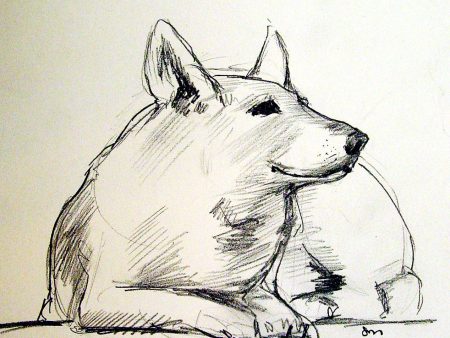 Stormy Pencil Drawing German Shepard Online now