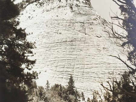 1950 s Photograph Candy Mountain For Sale