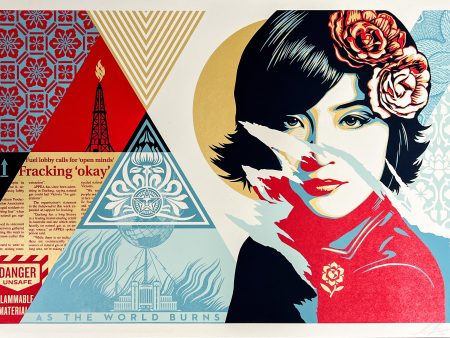 Shepard Fairey - Open Minds For Cheap