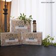 Gold Collagen Vegan Rekomenduojamas veganams ir vegetarams 10x50 ml +dovana Previa plaukų priemonė Hot on Sale